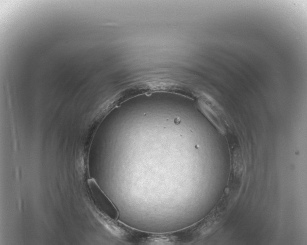 X0000062150405200512121313