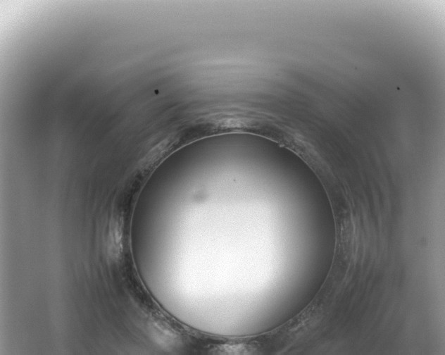 X0000062150406200512121313