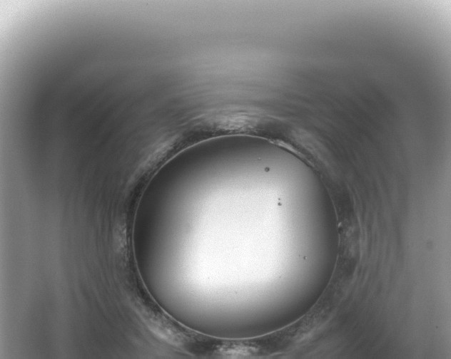 X0000062150407200512121313