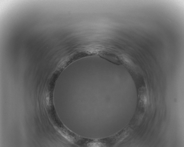 X0000062150408200512121313