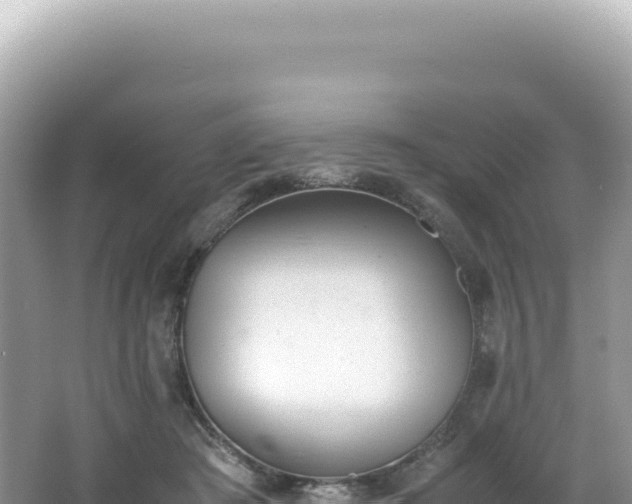 X0000062150409200512121313