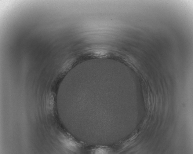 X0000062150412200512121313