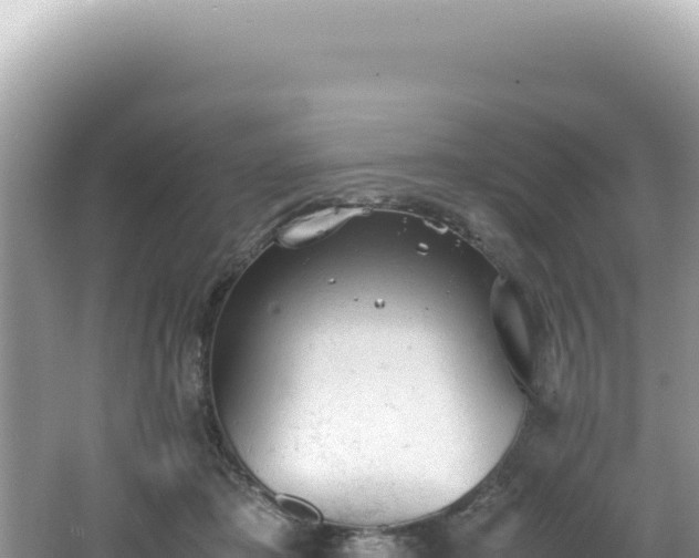 X0000062150413200512121313