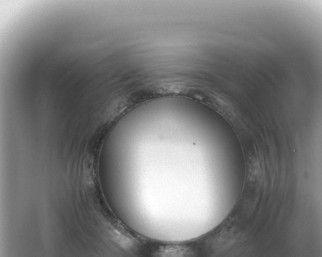 X0000062150414200512121313