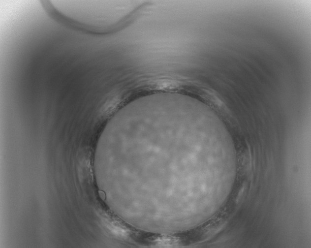 X0000062150415200512121313