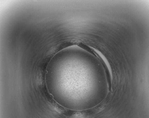 X0000062150416200512121313