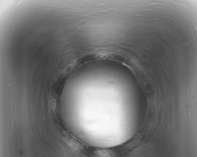 X0000062150417200512121313