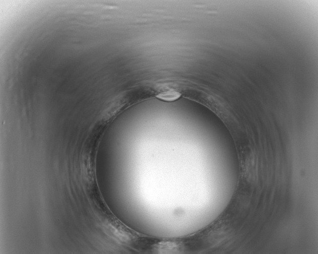 X0000062150418200512121313