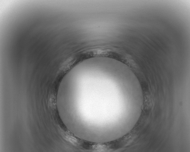 X0000062150419200512121313