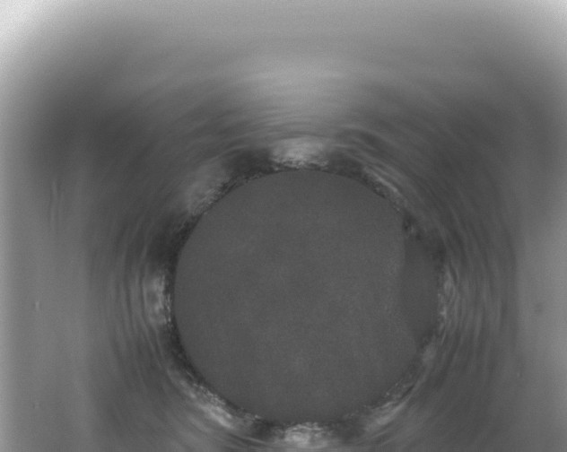 X0000062150420200512121313