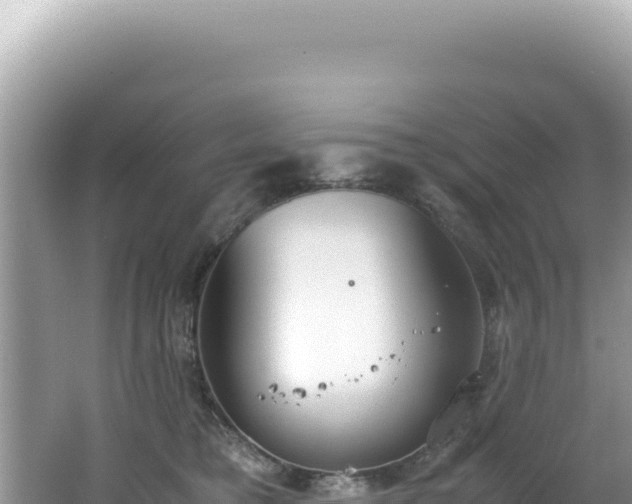 X0000062150421200512121313