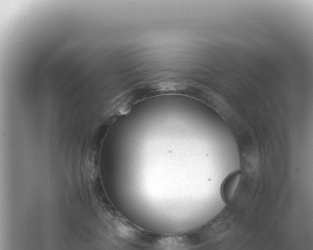 X0000062150422200512121313