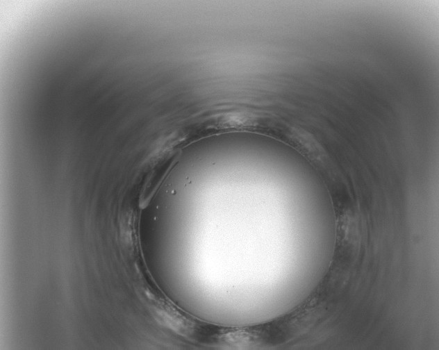 X0000062150423200512121313