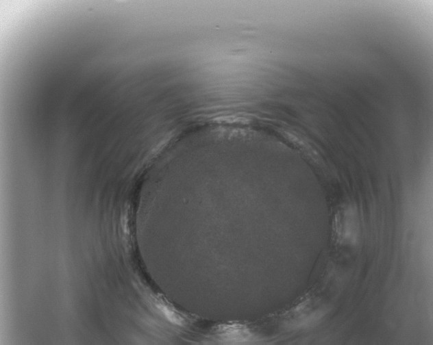 X0000062150424200512121313