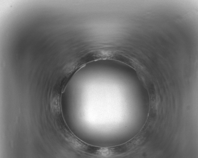 X0000062150425200512121313