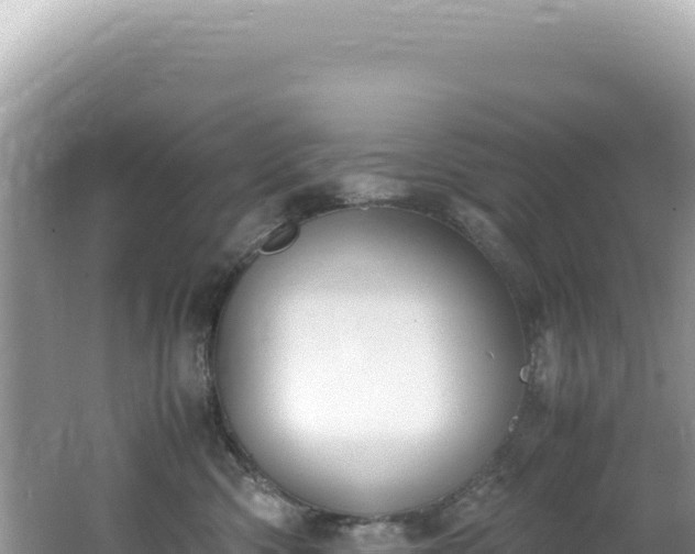 X0000062150426200512121313