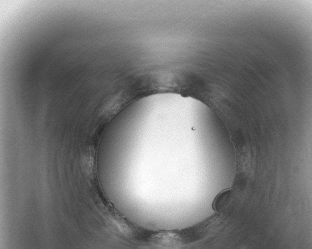 X0000062150427200512121313