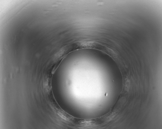 X0000062150428200512121312