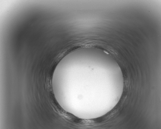 X0000062150429200512121312