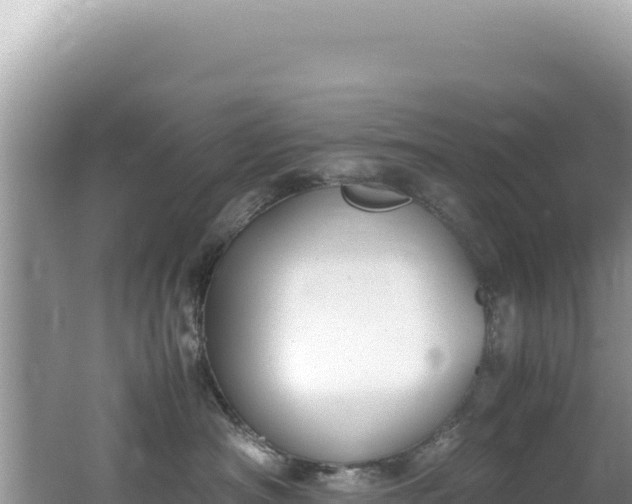 X0000062150430200512121312