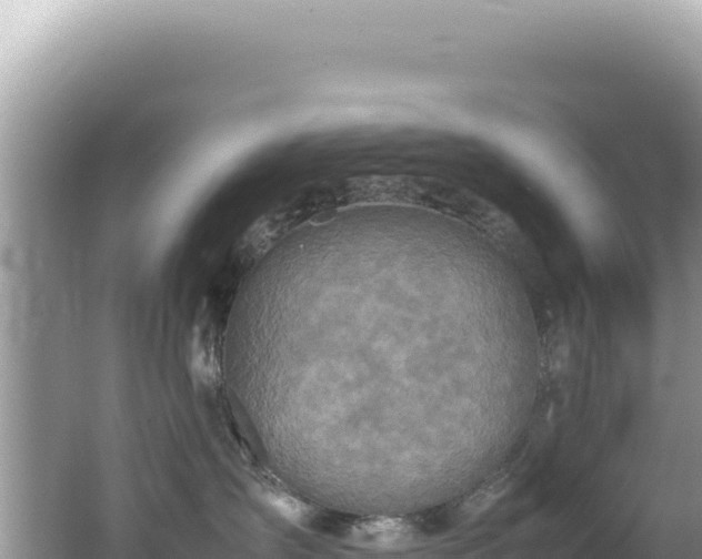 X0000062150431200512121312