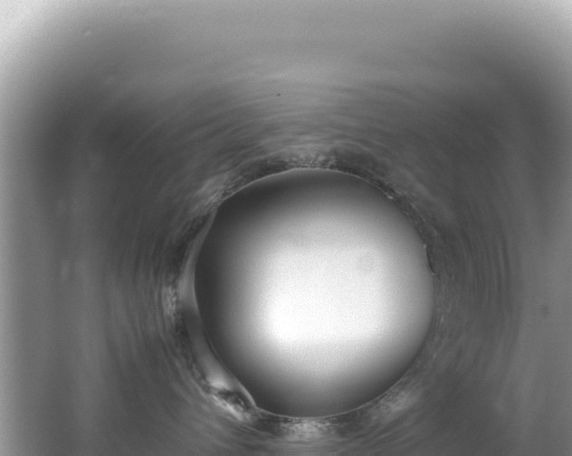 X0000062150432200512121312