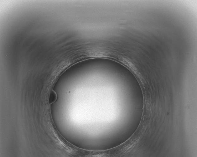 X0000062150433200512121312