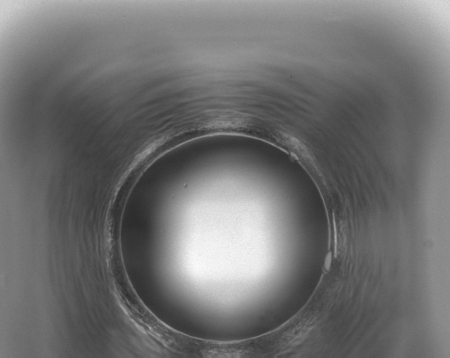 X0000062150435200512121312