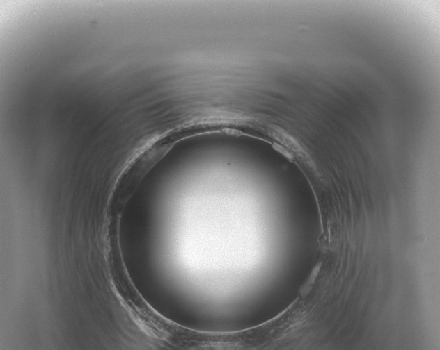 X0000062150436200512121312