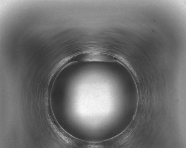 X0000062150437200512121312