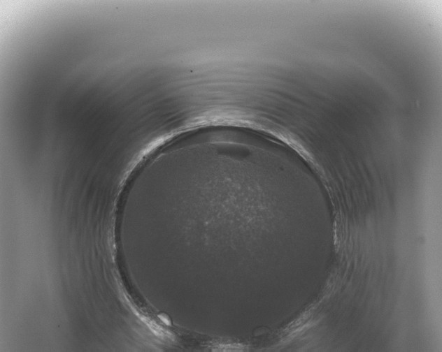 X0000062150438200512121312