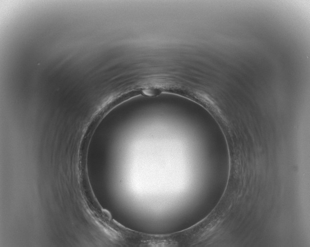 X0000062150439200512121312