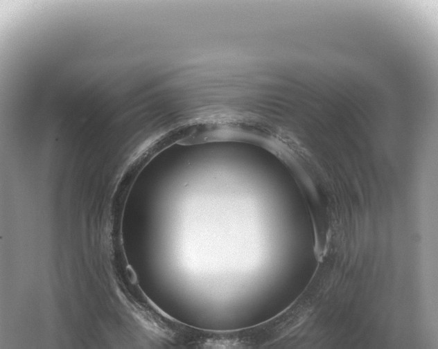 X0000062150440200512121312