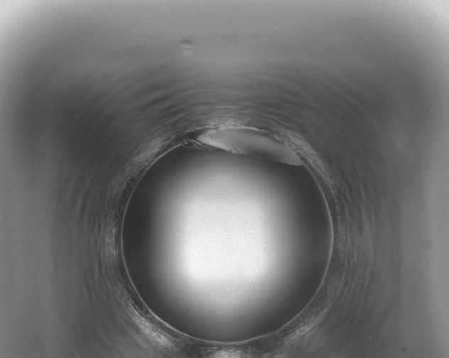 X0000062150441200512121312