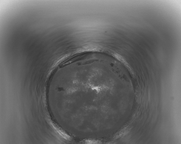 X0000062150442200512121312