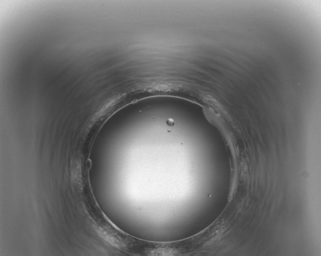 X0000062150444200512121312