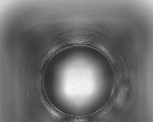 X0000062150445200512121312