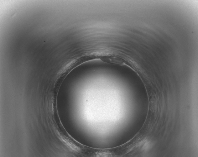 X0000062150446200512121312