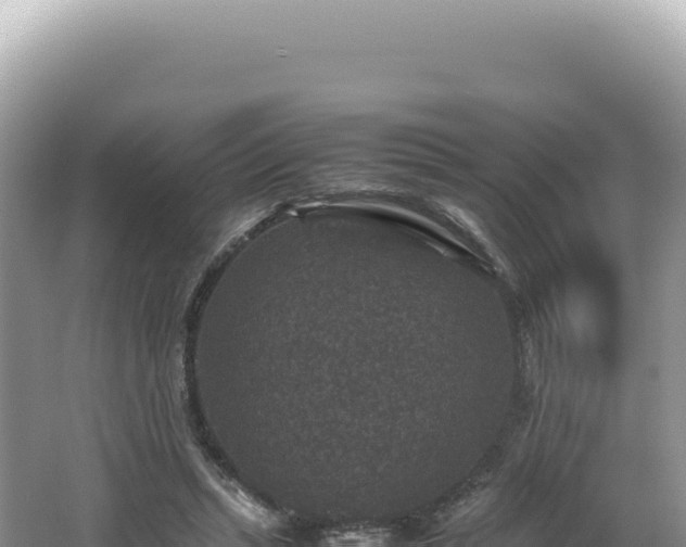 X0000062150447200512121312