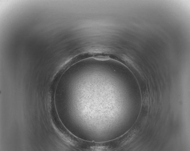 X0000062150448200512121312