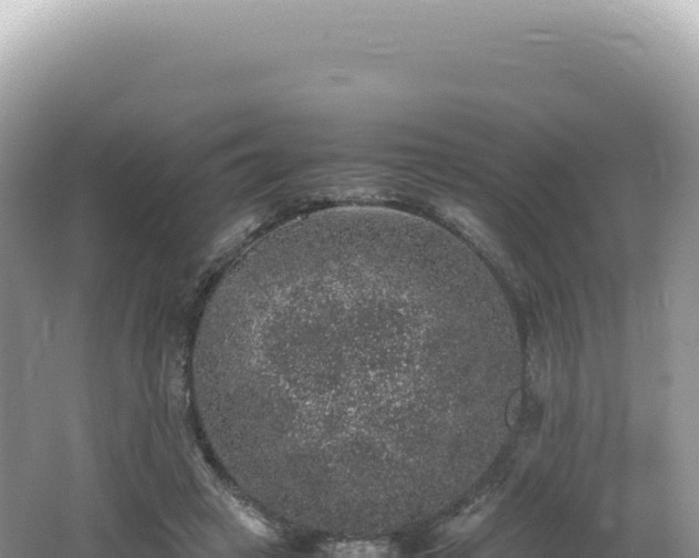 X0000062150449200512121312