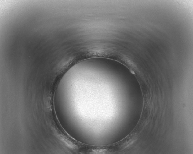 X0000062150450200512121312