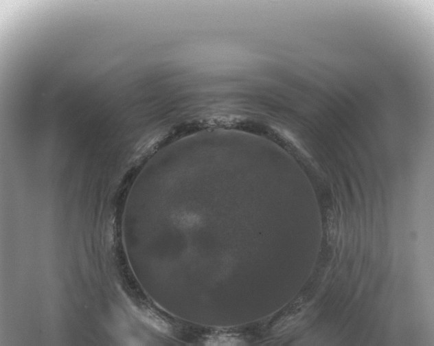 X0000062150451200512121312