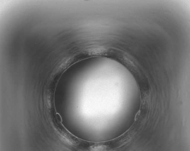 X0000062150452200512121312