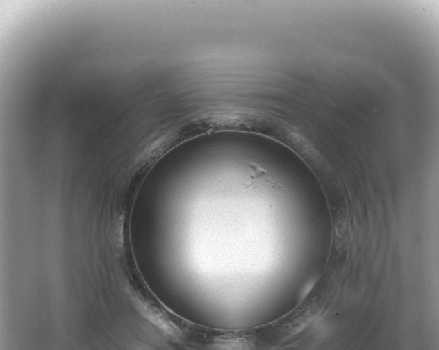 X0000062150454200512121312