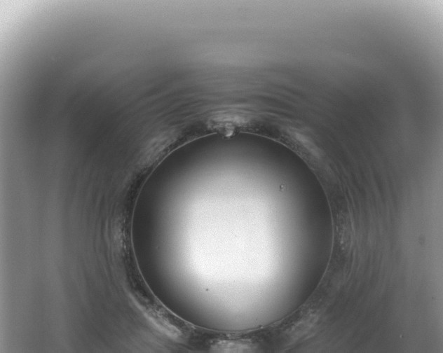 X0000062150455200512121312