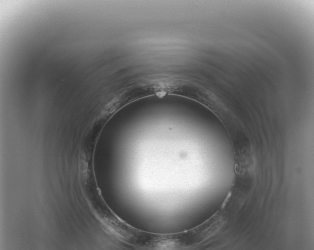 X0000062150456200512121312