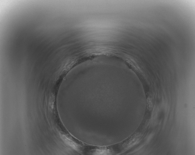 X0000062150458200512121312