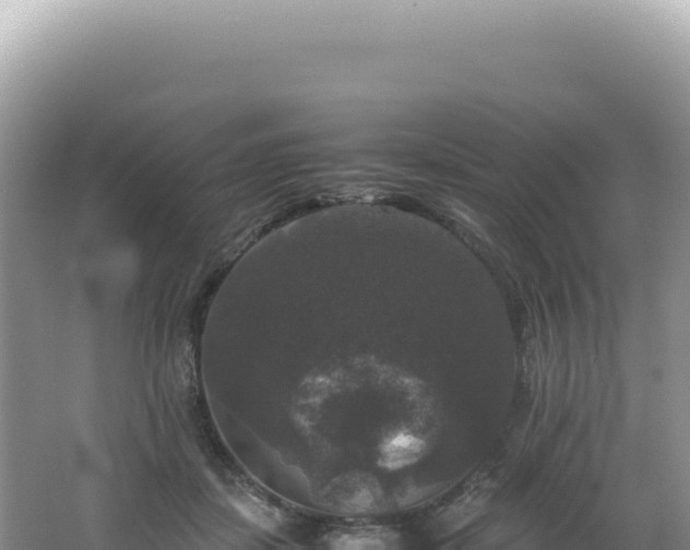 X0000062150459200512121312