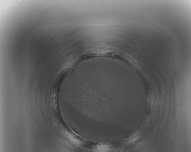 X0000062150462200512121312